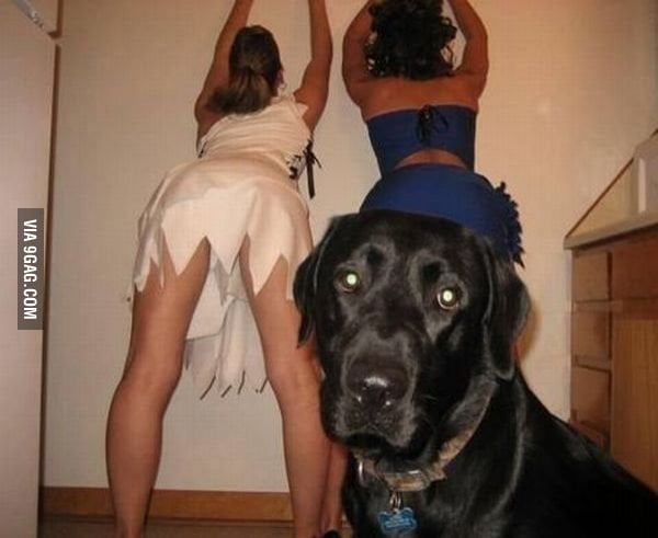 Girls ruin awesome dog picture. 