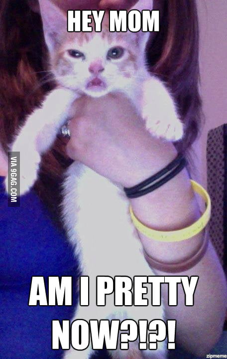 AM I PRETTY NOW?!?! - 9GAG