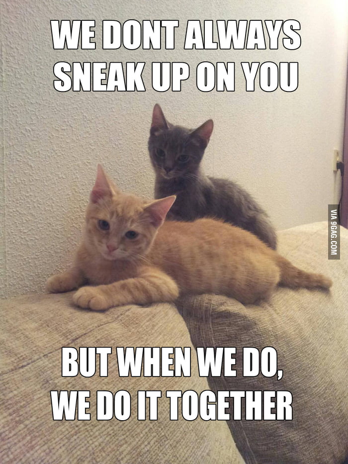 Forever Together. - 9GAG