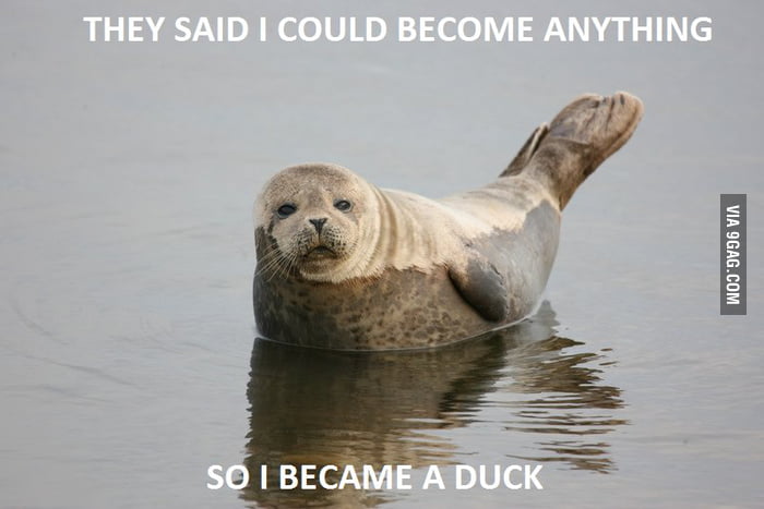 Duckseal - 9GAG