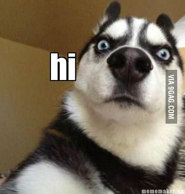 Just my dog saying hi - 9GAG