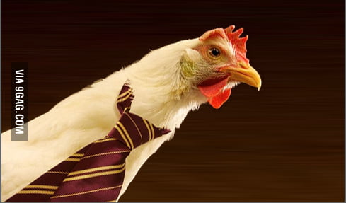 hen wearing a tie shirt