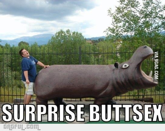 Surprise Buttsex 9gag