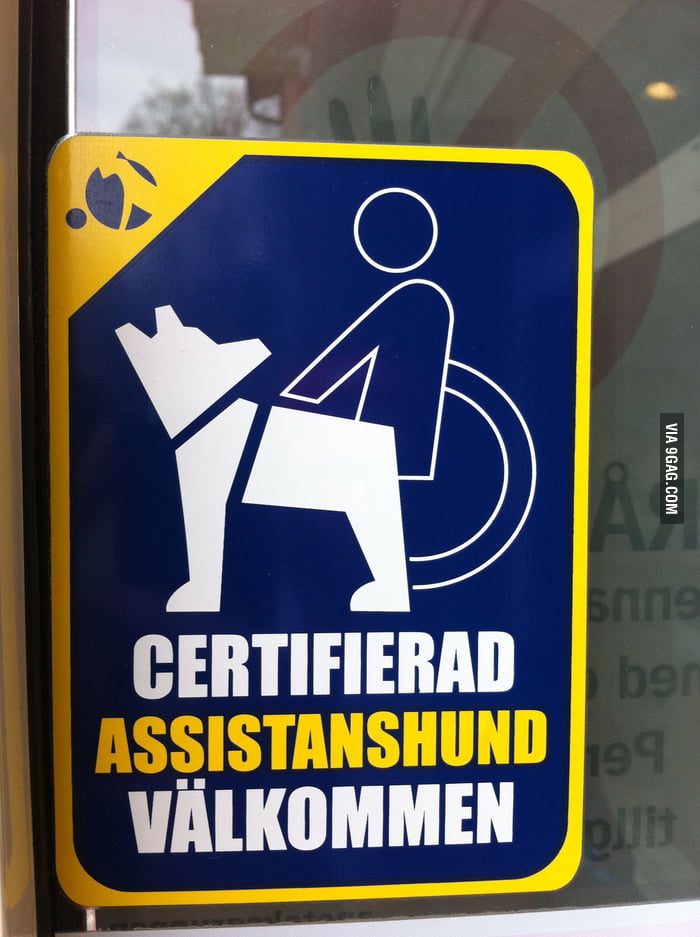 You're allowed to have animalsex if certified without legs.. - 9GAG