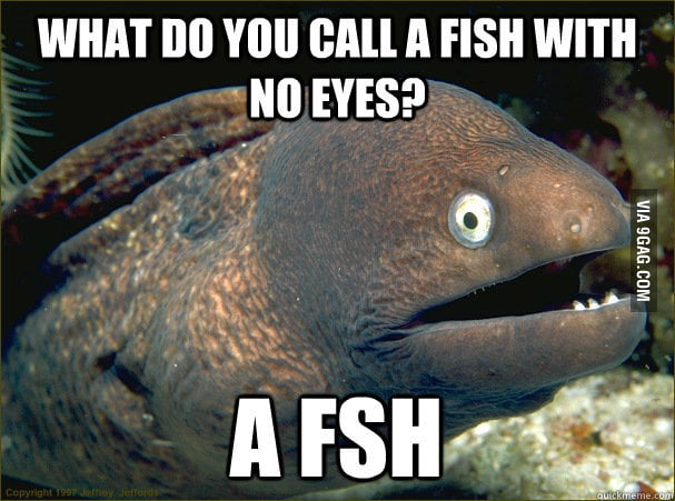 what-do-you-call-a-fish-with-no-eyes-9gag