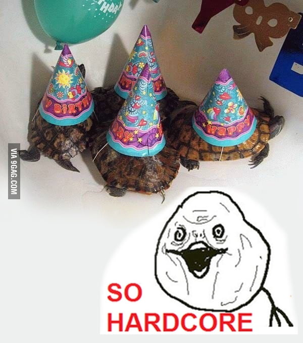 Hardcore turtles - 9GAG