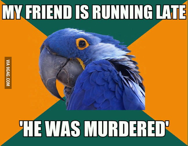 Paranoid parrot strikes again - 9GAG