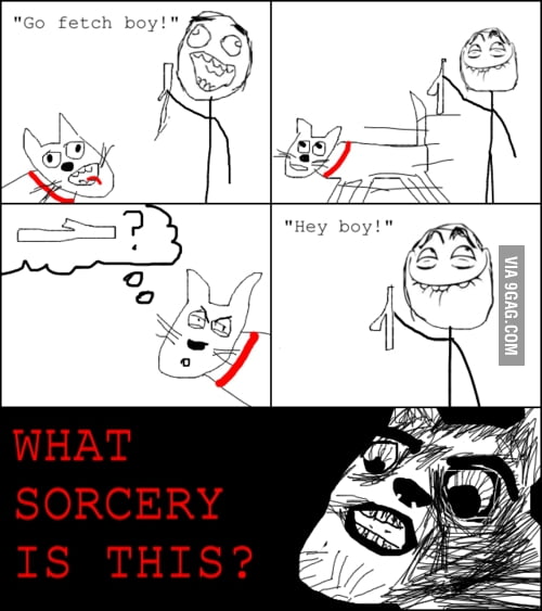 Every time the same s**t - 9GAG