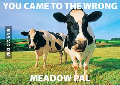 You came to the wrong meadow - 9GAG