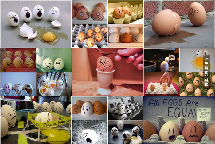 All eggs are Equal - 9GAG