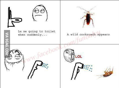 Makes me laugh everytime! - 9GAG