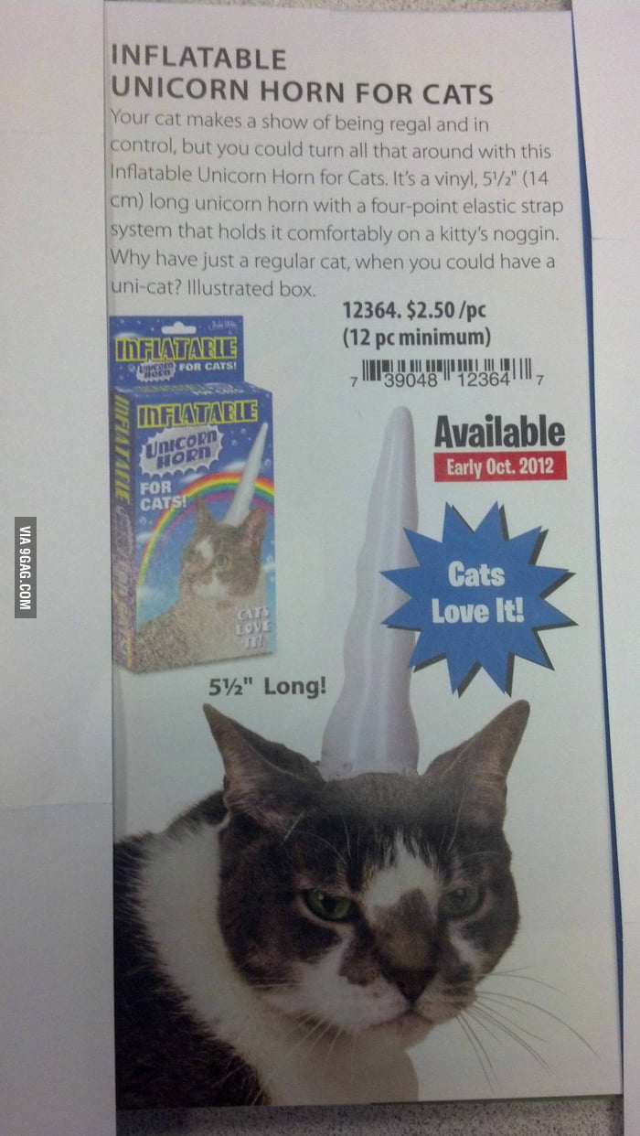 "Inflatable Unicorn Horn For Cat. Cats love it!" Sure