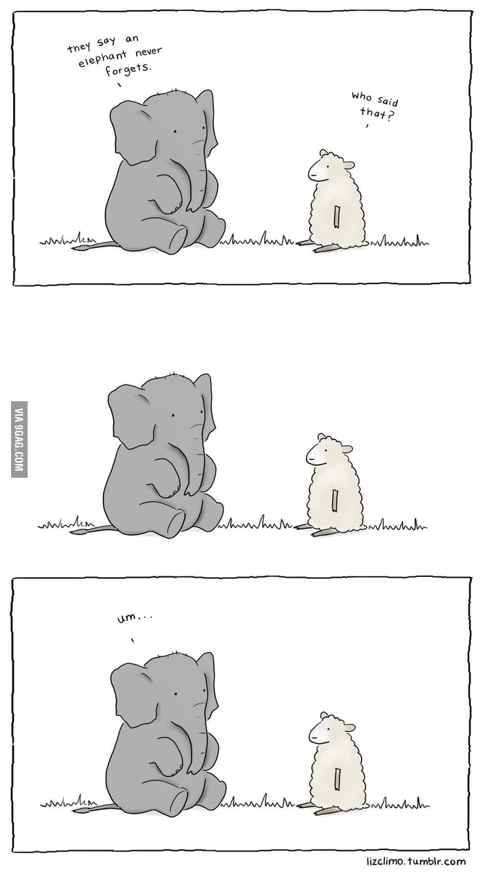 elephant-never-forgets-9gag