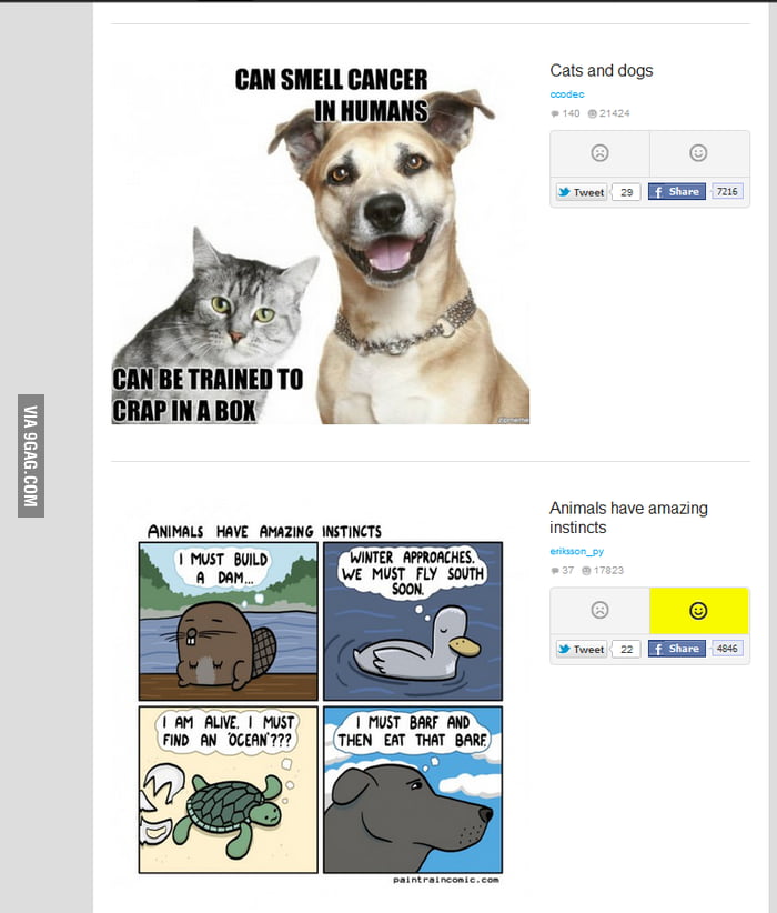 Perfect Timing 9gag