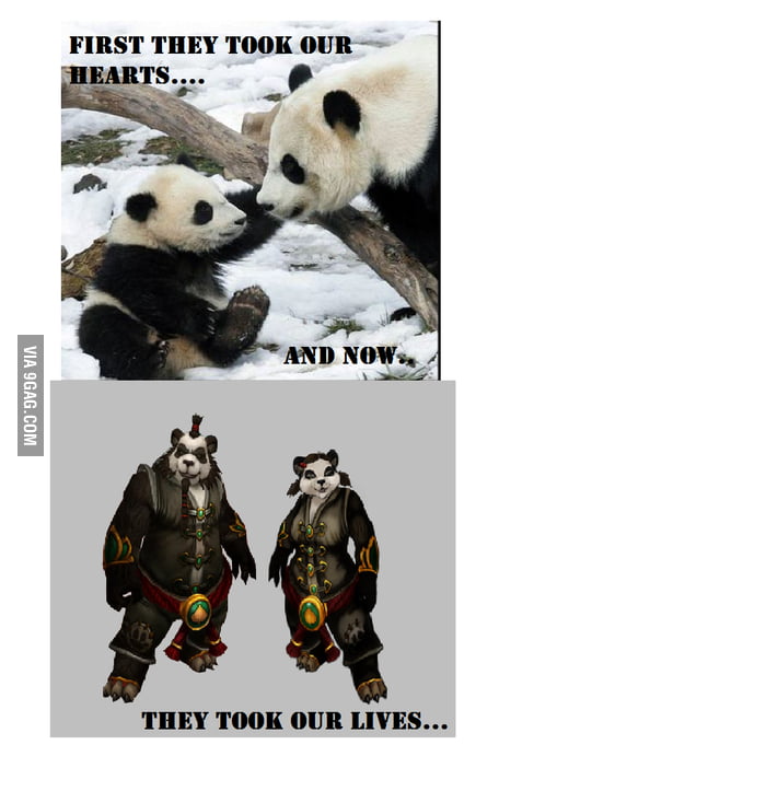 The truth about pandas 9GAG