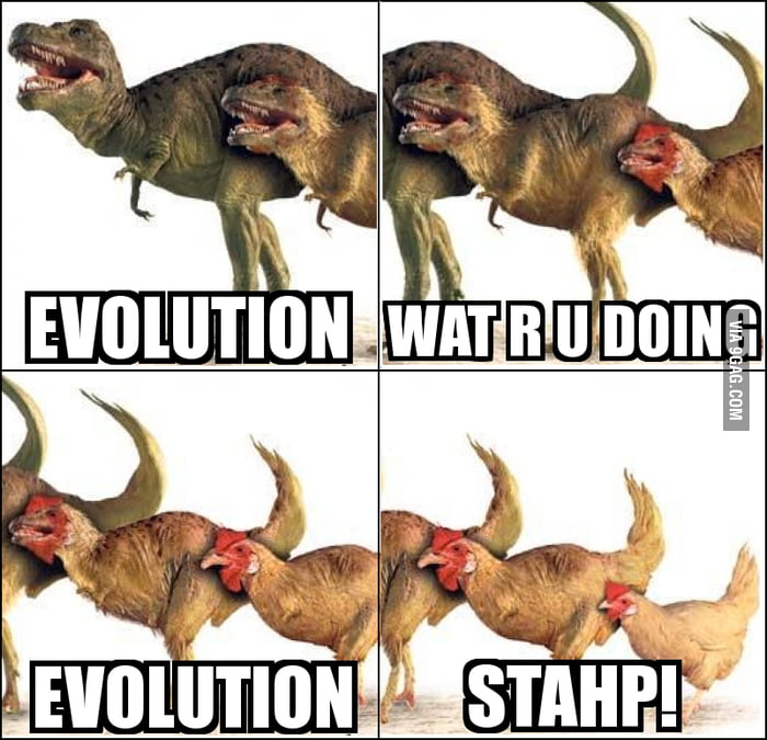 stahp meme evolution
