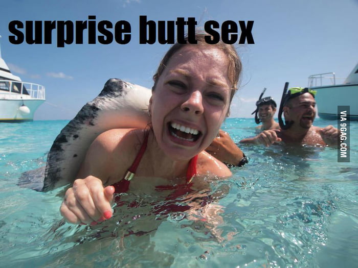 Surprise Butt Sex 9gag
