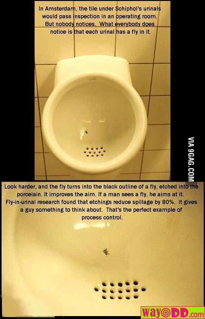 Don't sprinkle while you tinkle - 9GAG