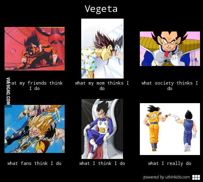 vegeta 9