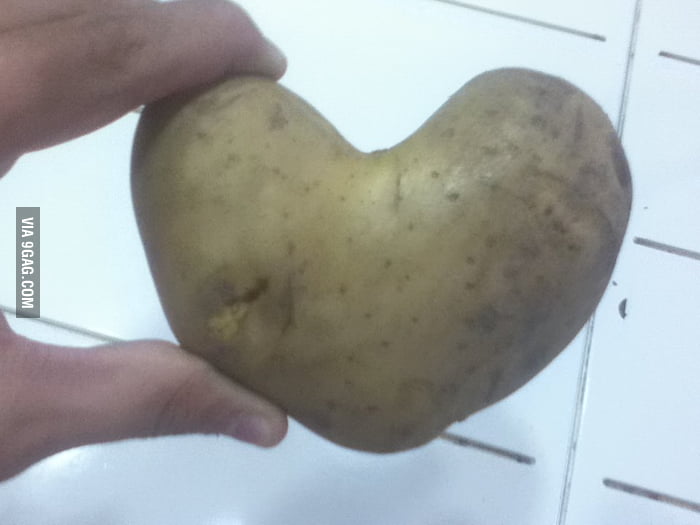 Potatoes Love Me 9gag