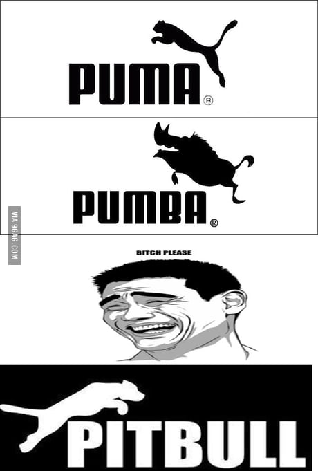 black puma pitbull