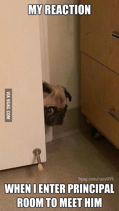 My Reaction - 9GAG