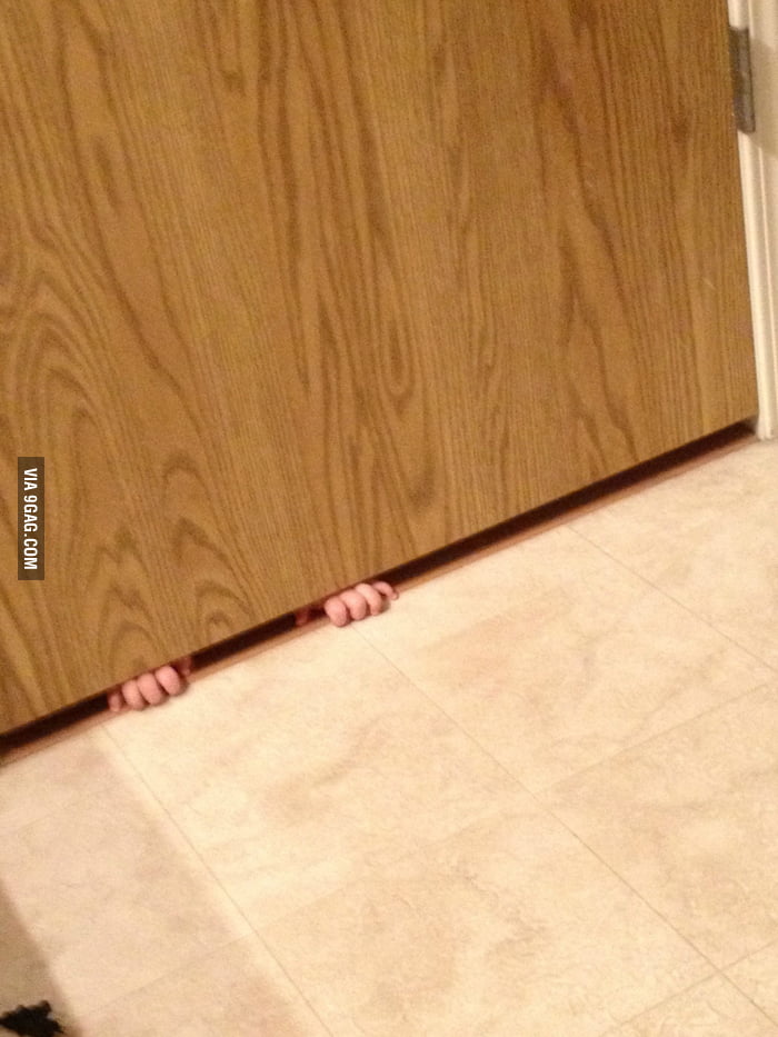 You all have your cats disturbing your poops. I have this. 9GAG