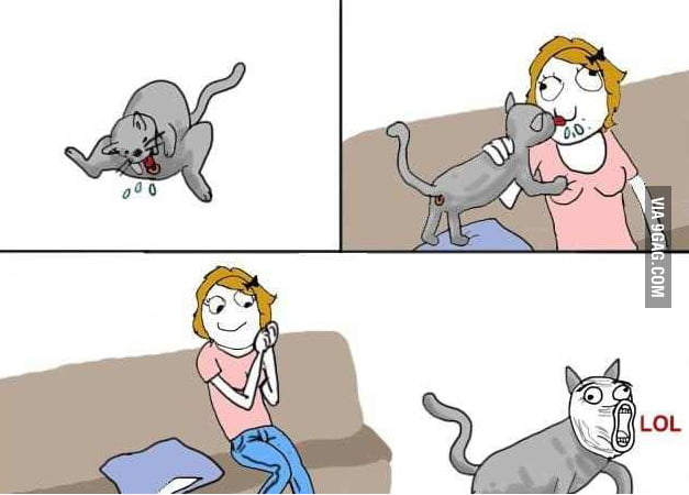 Dat cat ass - 9GAG