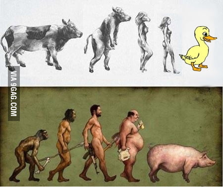 Evolution [ FIXED ] - 9GAG