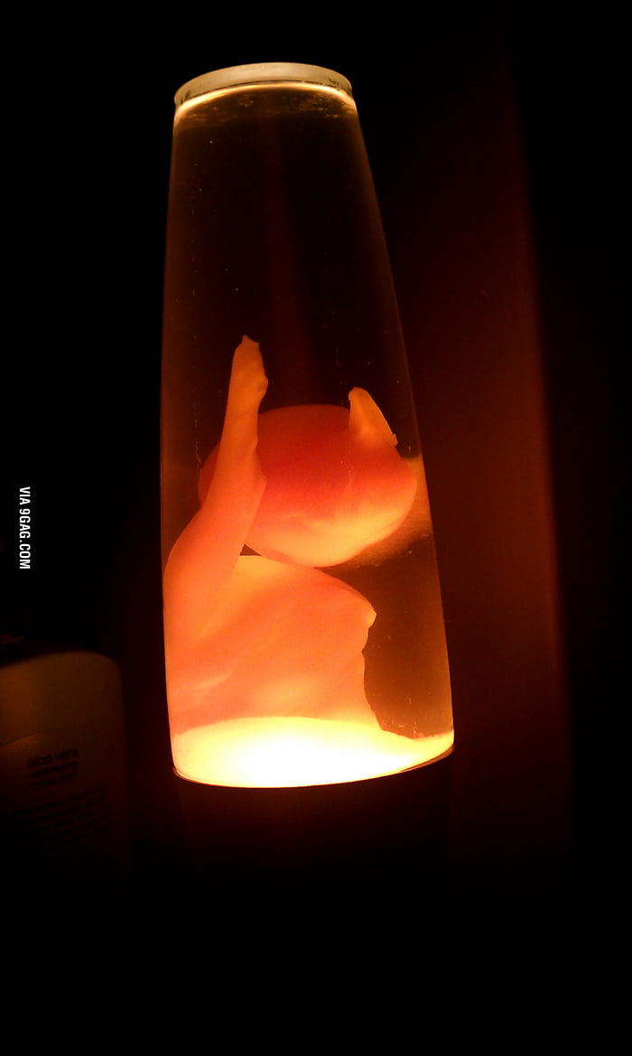 Put Your Hands Up Lava Lamp Style 9GAG