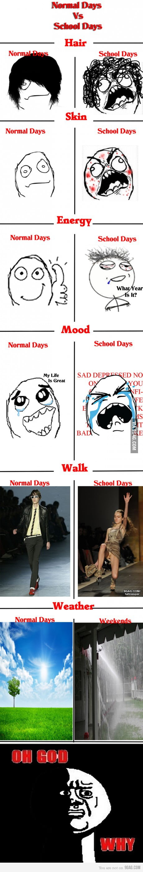 Why Does Everyone Hate School Days