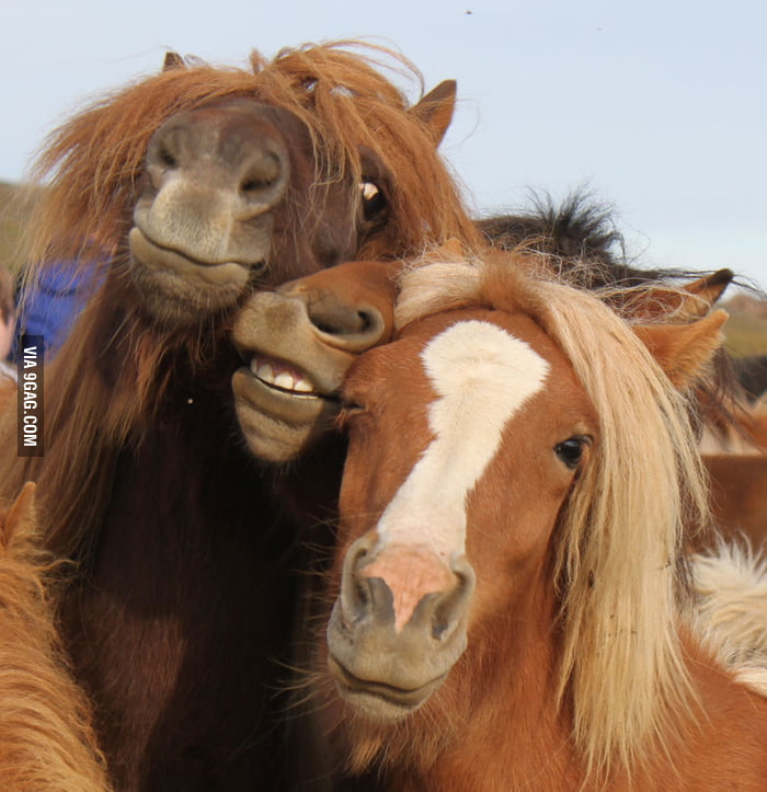 What I see everytime when drunk girls upload pic to Facebook