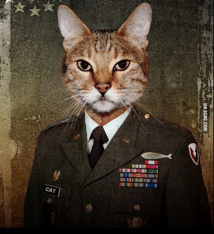 Colonel Purr Garfield III - 9GAG