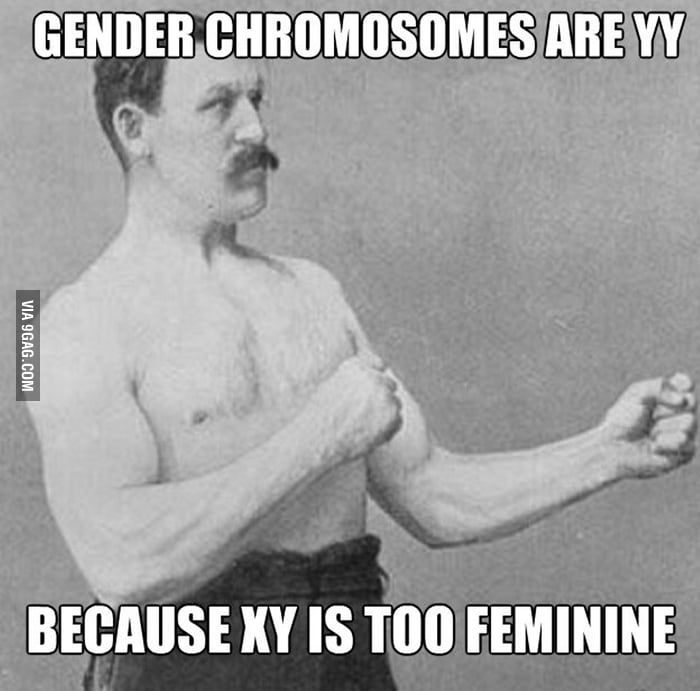 overly-manly-man-has-overly-manly-chromosomes-9gag