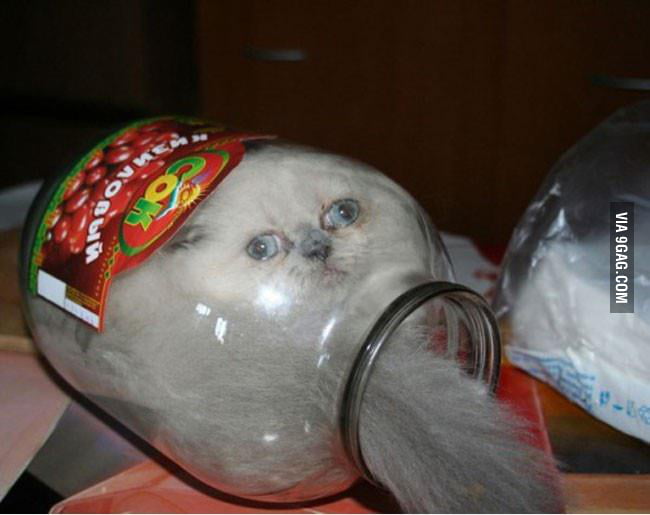 Damn it!!! I think I made a mistake!!!