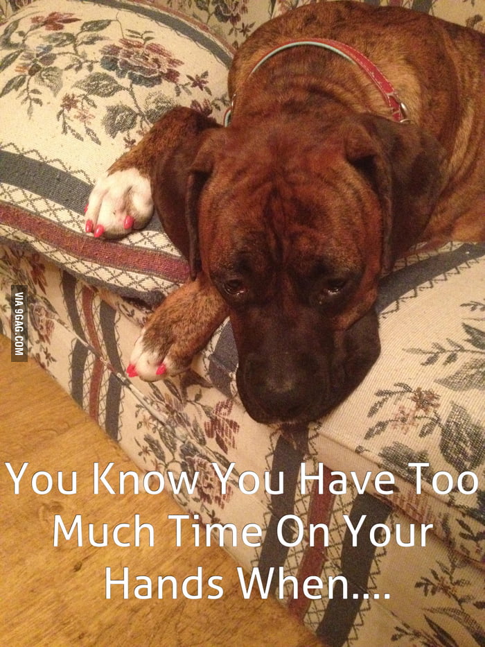 You think YOU have too much time on your hands? - 9GAG