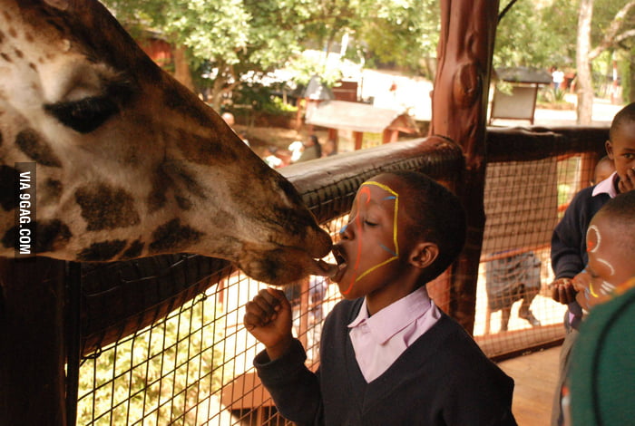 French-kissed a giraffe once