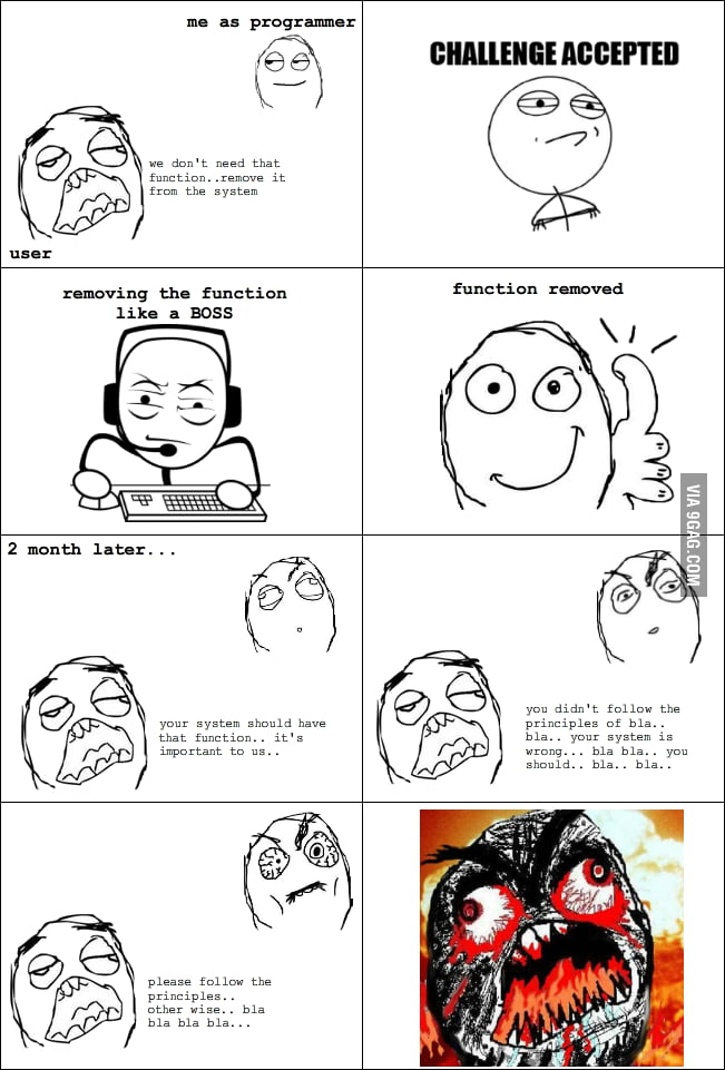 Programmer, It Will Be Fun, They Said - 9GAG