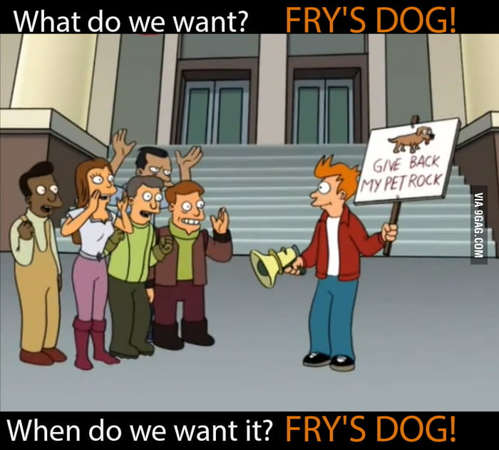 What do we want fry s dog when do we want it fry s dog 9gag