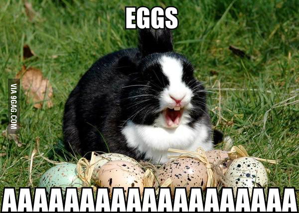 Eggsss