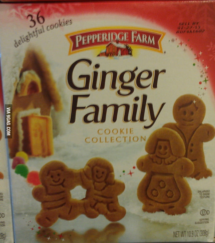 Ginger Family with Special Children. 9GAG