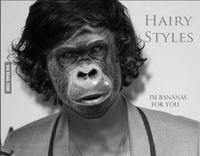 Come Get Some Hairy Styles 9gag