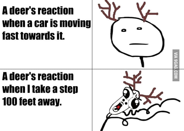 It s logical