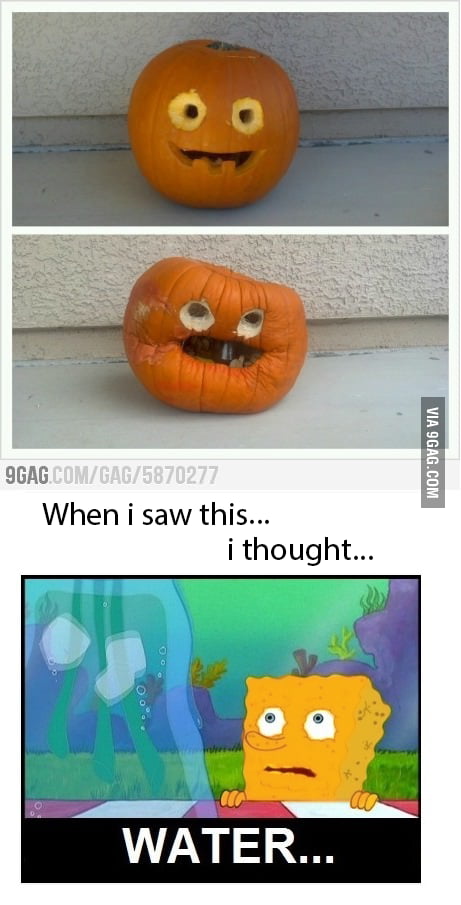 When I saw this.. - 9GAG