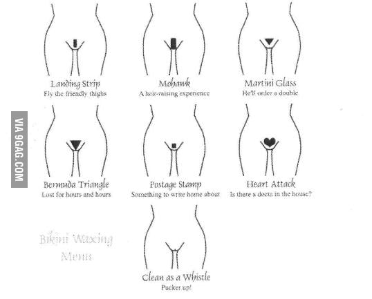 Types Of Pubic Hair 9gag