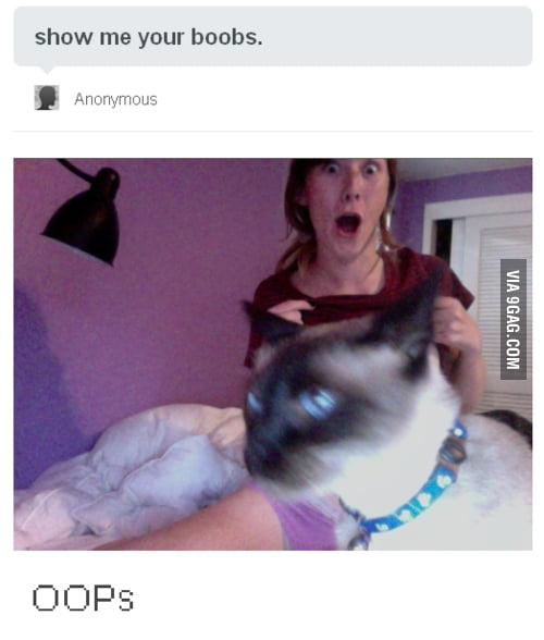 Oops Showed My Pussy Instead 9GAG