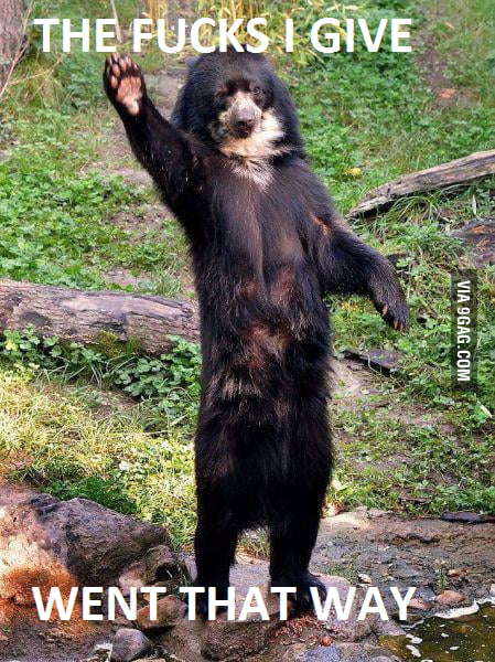 New bear meme? - 9GAG