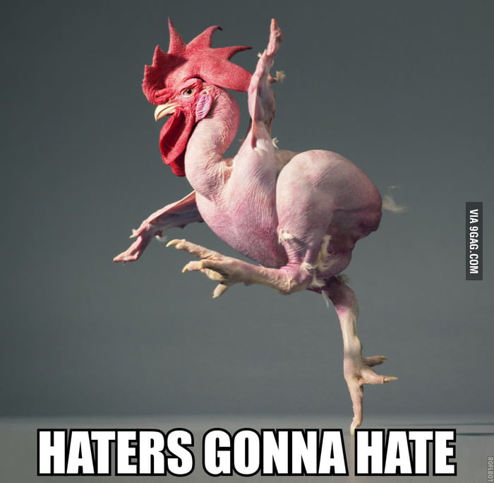 Haters Gonna Hate Chicken 9gag