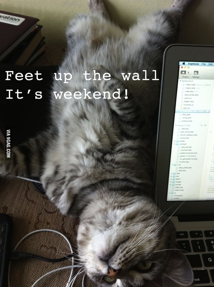 Feet up the wall. It's weekend! 9GAG