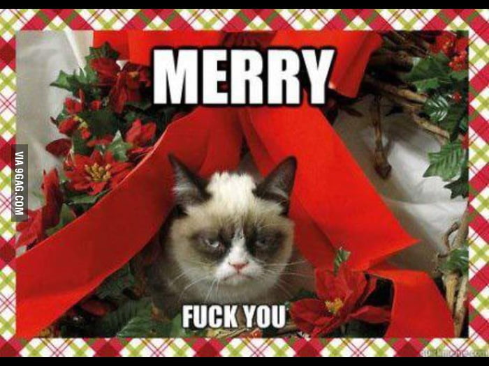 Merry christmas from grumpy cat 9gag